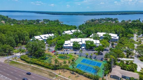 A home in PALM HARBOR