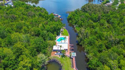 A home in PALM HARBOR