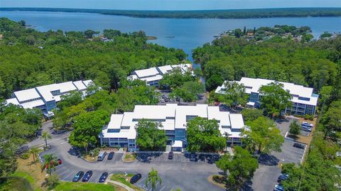 A home in PALM HARBOR