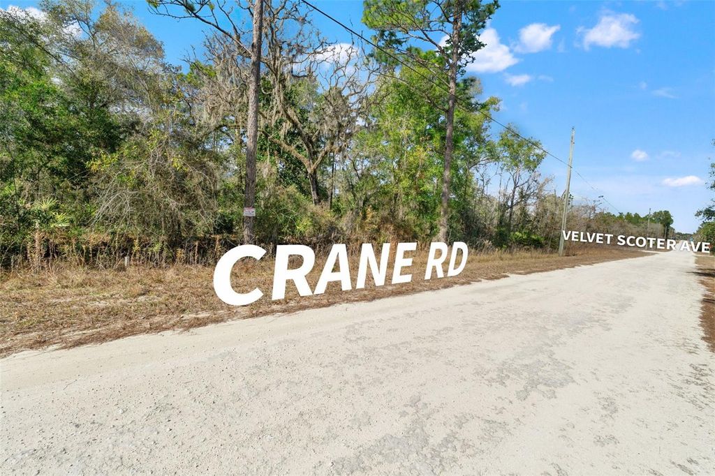 Photo of 16275 Crane Road, Weeki Wachee, FL 34614 (MLS # TB8469587)