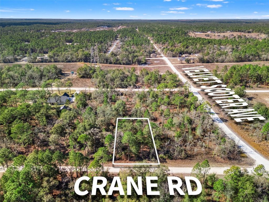 Photo of 16275 Crane Road, Weeki Wachee, FL 34614 (MLS # TB8469587)