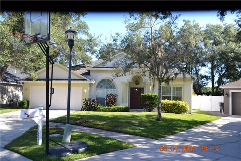 10921 ARBOR RIDGE DRIVE TAMPA FL 33624