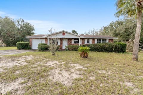 A home in FRUITLAND PARK