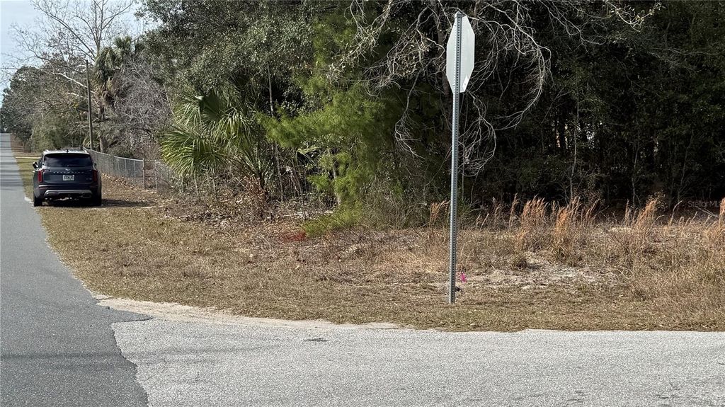 Photo of SW Beach Blvd &amp; SW Portulaca Ct, Dunnellon, FL 34431 (MLS # OM718441)