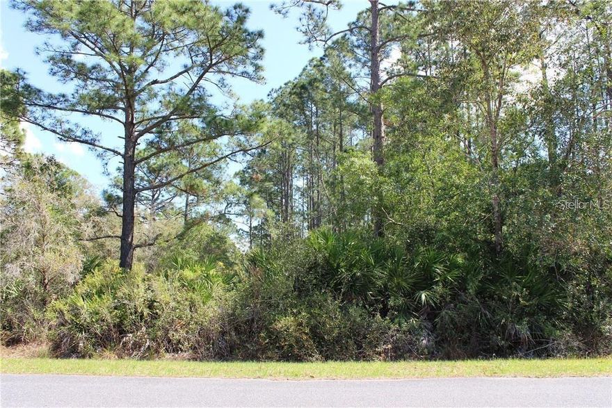 One acre lot in Royal Trails Equestrian Community in Eustis. Florida. At Royal Trails you have several miles of paved road for walking, running, riding a bike or riding a Horse, two are allowed. The Florida National Scenic trail runs through the Community. The Community also offers you access to Lake Norris for fishing, canoe or kayaking. The community has a private park with pavilion and playground available only to the owners. The minimum square footage for a home is 1200 sq. ft.