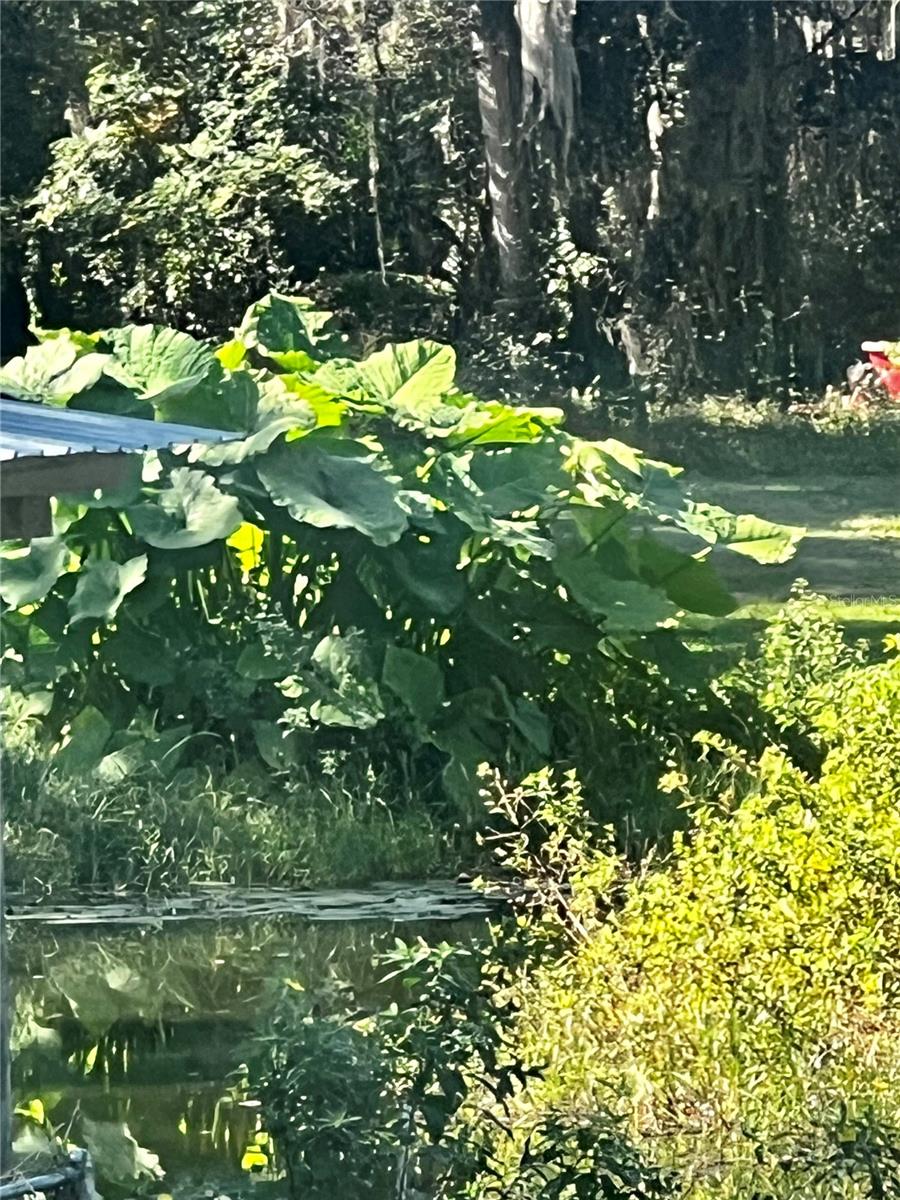 HUGH THOMPSON - Residential