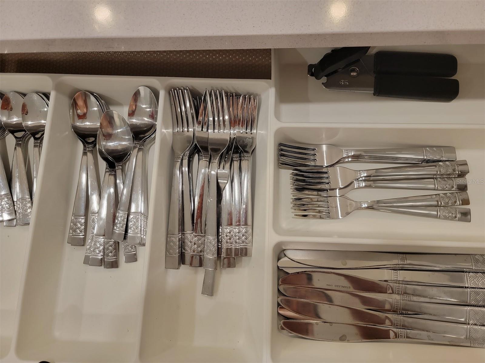 COVE AT STOREY LAKE 4 - Residential