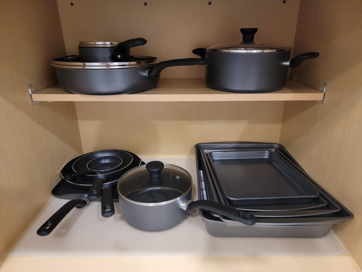 COVE AT STOREY LAKE 4 - Residential