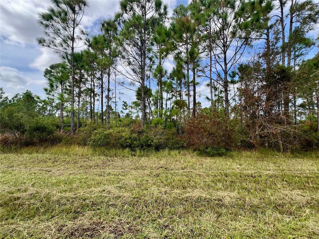 Photo of 451 Fellenz Street, Port Charlotte, FL 33953 (MLS # C7498892)