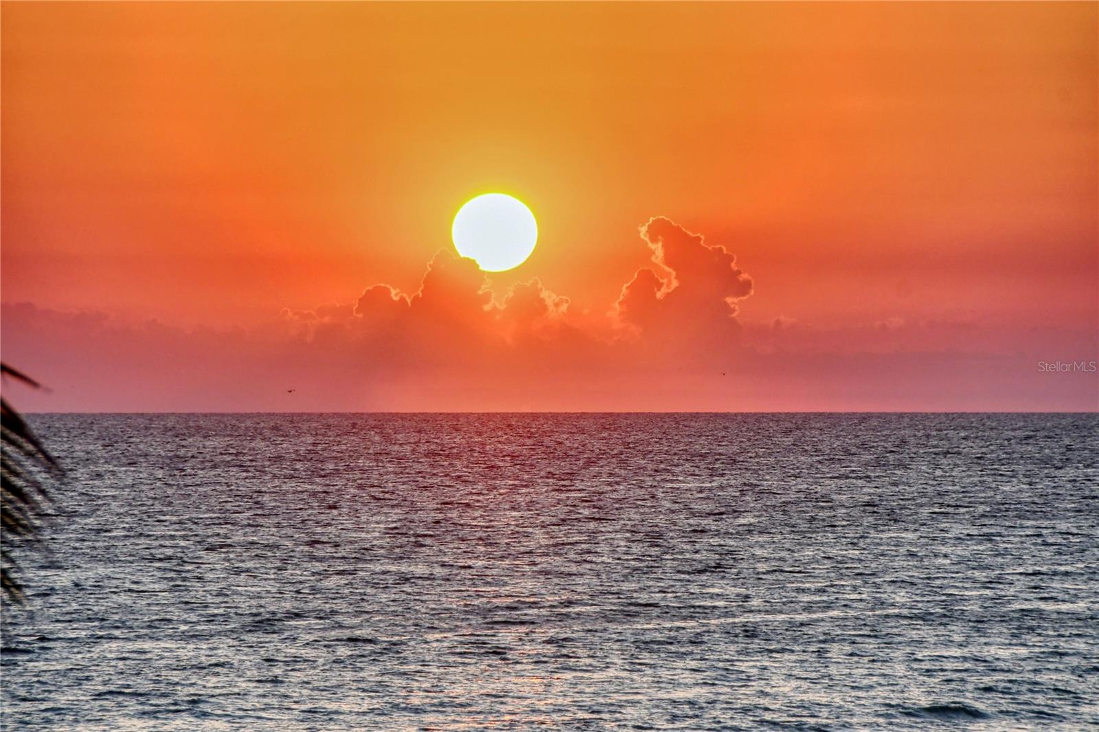 L AMBIANCE 1 - Residential