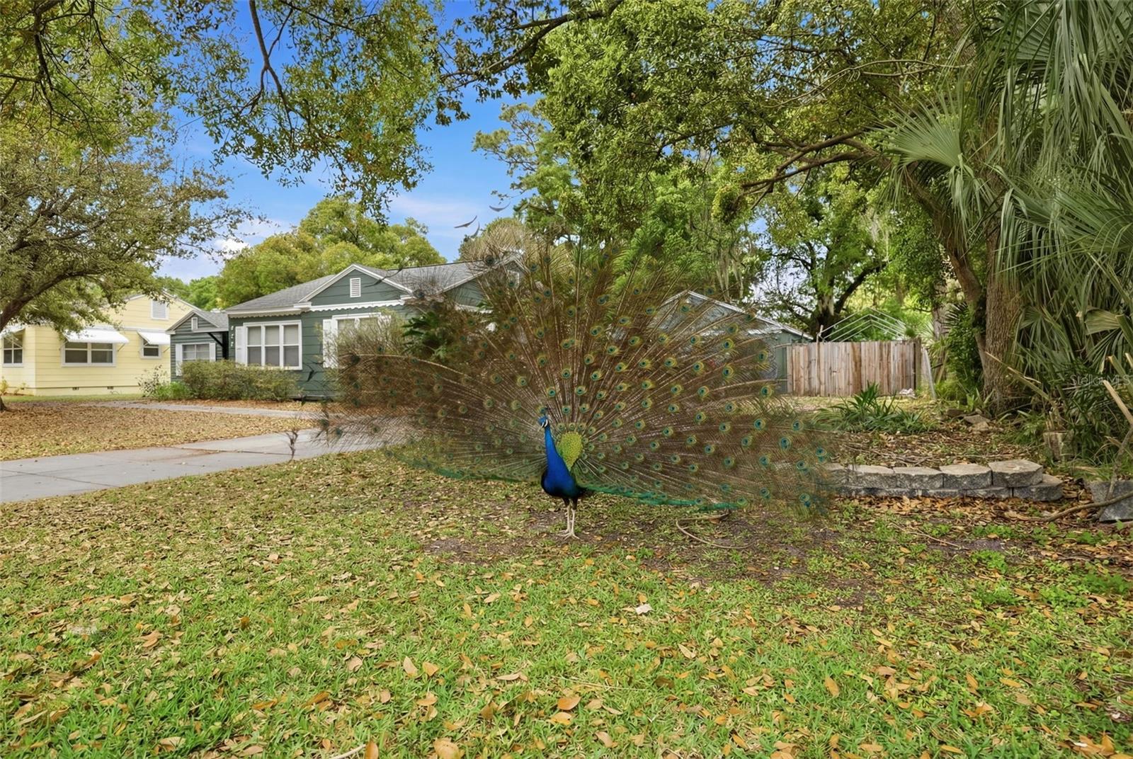 WELLSWOOD SEC A - Residential