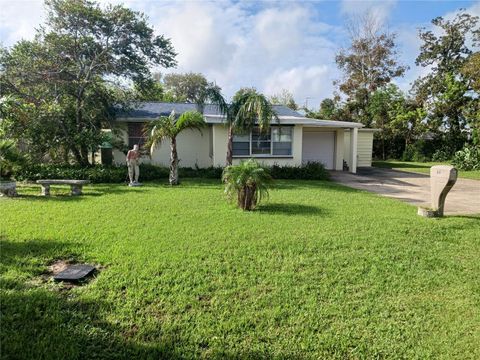 A home in ORMOND BEACH