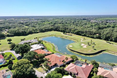 A home in WESLEY CHAPEL