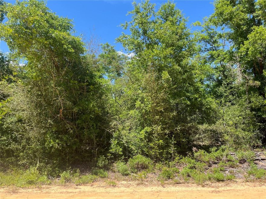 OWNER FINANCING AVAILABLE! Build your dream getaway or future home on this tranquil 1.19-acre parcel nestled in the equestrian-friendly, amenity-rich Compass Lake in the Hills community, Jackson County, Florida. Located just minutes from spring-fed Compass and McCormick Lakes, this property offers access to boating, fishing, swimming, disc golf, a clubhouse, community pool, RV and cabin rentals, and more—while retaining optional HOA participation and voluntary annual fees. This level, undeveloped lot features electricity available nearby, but well and septic systems will be required—a common setup throughout the area. Vehicle and RV access is easy via maintained dirt roads, and mobile homes are permitted in the community. Imagine enjoying serene, forested surroundings, abundant outdoor recreation, and a peaceful rural lifestyle while still being within easy reach of Marianna and Panama City. Whether you're looking to build now or hold for future potential, this is an opportunity you won't want to miss. For directional purposes only, the property is located across the street from 2635 Hocking St, Alford, FL 32420.
All information deemed reliable but not guaranteed; buyer to verify all details with appropriate authorities.