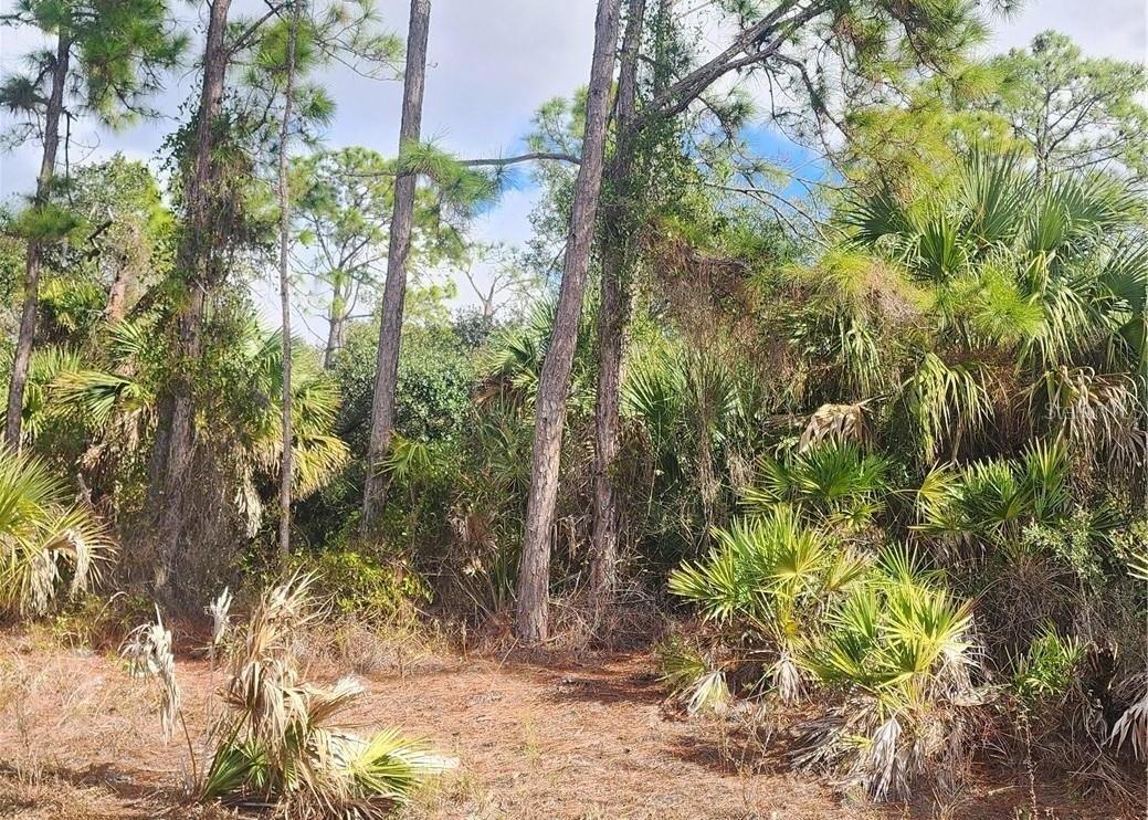 PORT CHARLOTTE SUB 24 - Land