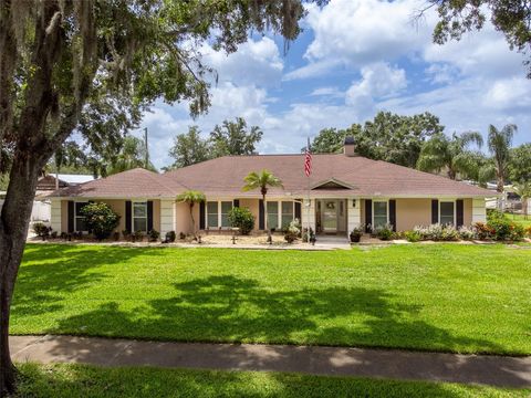 10502 LAKE WILLIAMS DRIVE ODESSA FL 33556