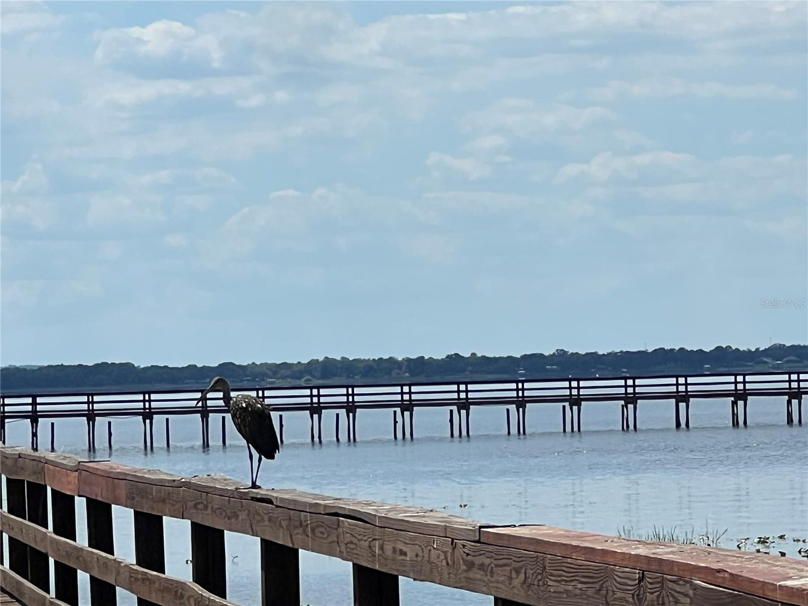 INDIAN LAKE ESTATES - Land