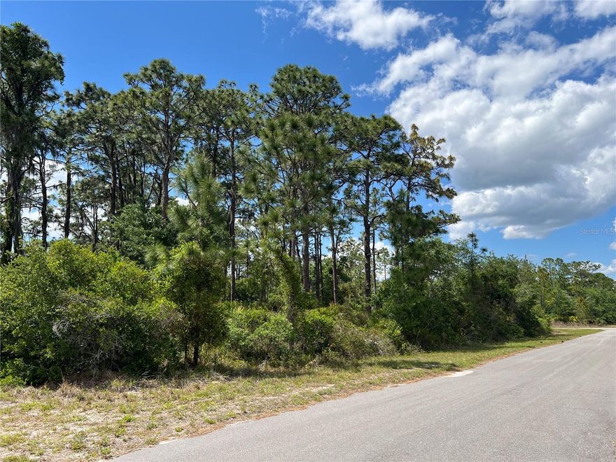 Looking to build your dream home and have a quiet Florida lifestyle? This spacious and private corner lot at just over a half acre in Lake Wales. Road is paved, no water on property and is not in a flood zone. Access to a private dock, boat ramp, community building, and boardwalk on Lake Weohyakapa. The clubhouse complex features a stunning golf course and driving range, bar and grill, playground area, and pickleball and tennis courts.