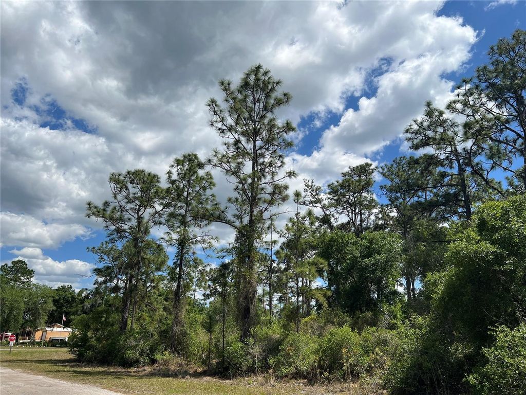 Photo of 901 Azalea Drive, Indian Lake Estates, FL 33855 (MLS # O6402559)