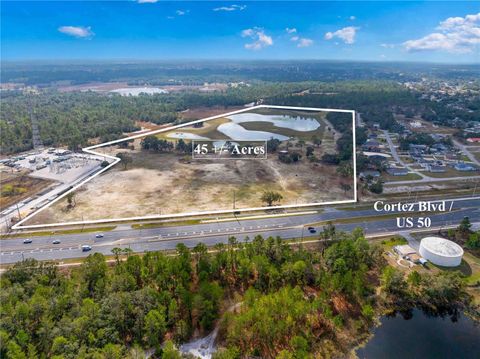 Photo of 10300 Cortez Boulevard, Brooksville, FL 34613 (MLS # TB8353454)