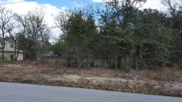 SE 88TH CT, SUMMERFIELD, FL 34491 - Image d3bbfcf2bb9b319a6c0f4d7186d831c3/1298563225