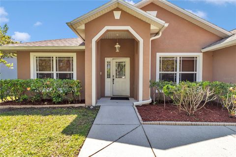 Photo of 1201 Creekview Court, Saint Cloud, FL 34772 (MLS # S5141619)
