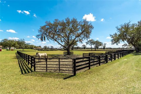 Tiny photo for 4700 NW 157th Court, Morriston, FL 32668 (MLS # OM719562)