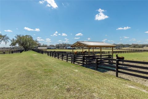 Tiny photo for 4700 NW 157th Court, Morriston, FL 32668 (MLS # OM719562)