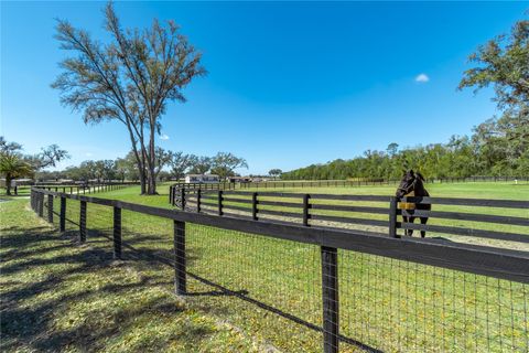 Tiny photo for 4700 NW 157th Court, Morriston, FL 32668 (MLS # OM719562)