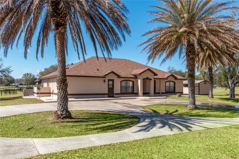 Tiny photo for 4700 NW 157th Court, Morriston, FL 32668 (MLS # OM719562)