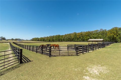 Tiny photo for 4700 NW 157th Court, Morriston, FL 32668 (MLS # OM719562)