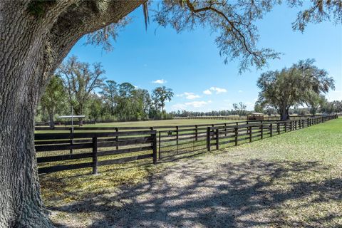Tiny photo for 4700 NW 157th Court, Morriston, FL 32668 (MLS # OM719562)