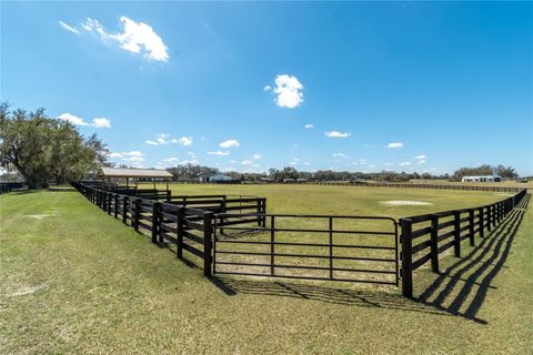 Tiny photo for 4700 NW 157th Court, Morriston, FL 32668 (MLS # OM719562)