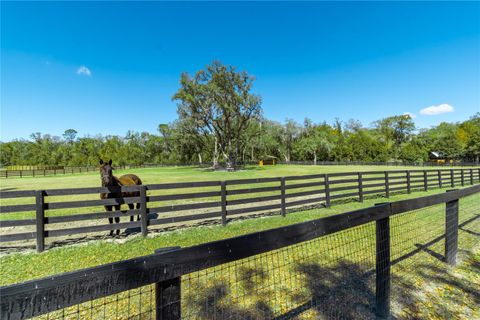 Tiny photo for 4700 NW 157th Court, Morriston, FL 32668 (MLS # OM719562)