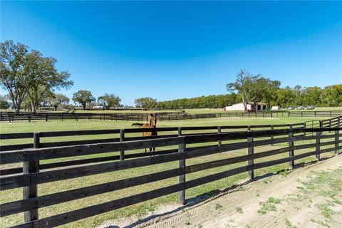 Tiny photo for 4700 NW 157th Court, Morriston, FL 32668 (MLS # OM719562)