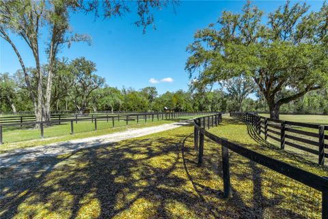 Tiny photo for 4700 NW 157th Court, Morriston, FL 32668 (MLS # OM719562)