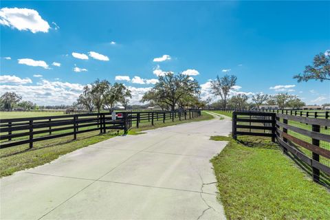 Tiny photo for 4700 NW 157th Court, Morriston, FL 32668 (MLS # OM719562)