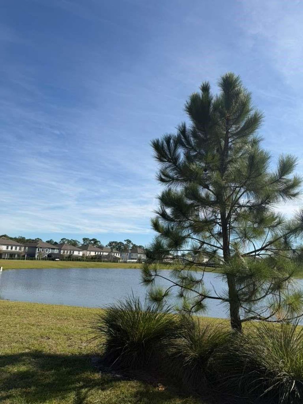 Photo of 11377 Pixie Mandarin Court, Winter Garden, FL 34787 (MLS # O6364793)