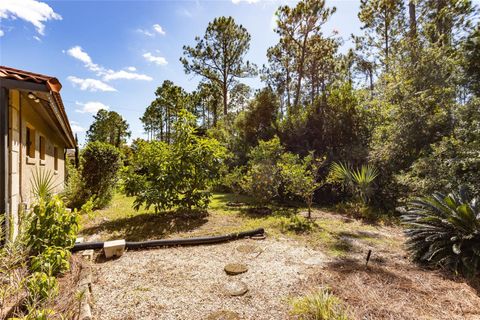 A home in PALM COAST