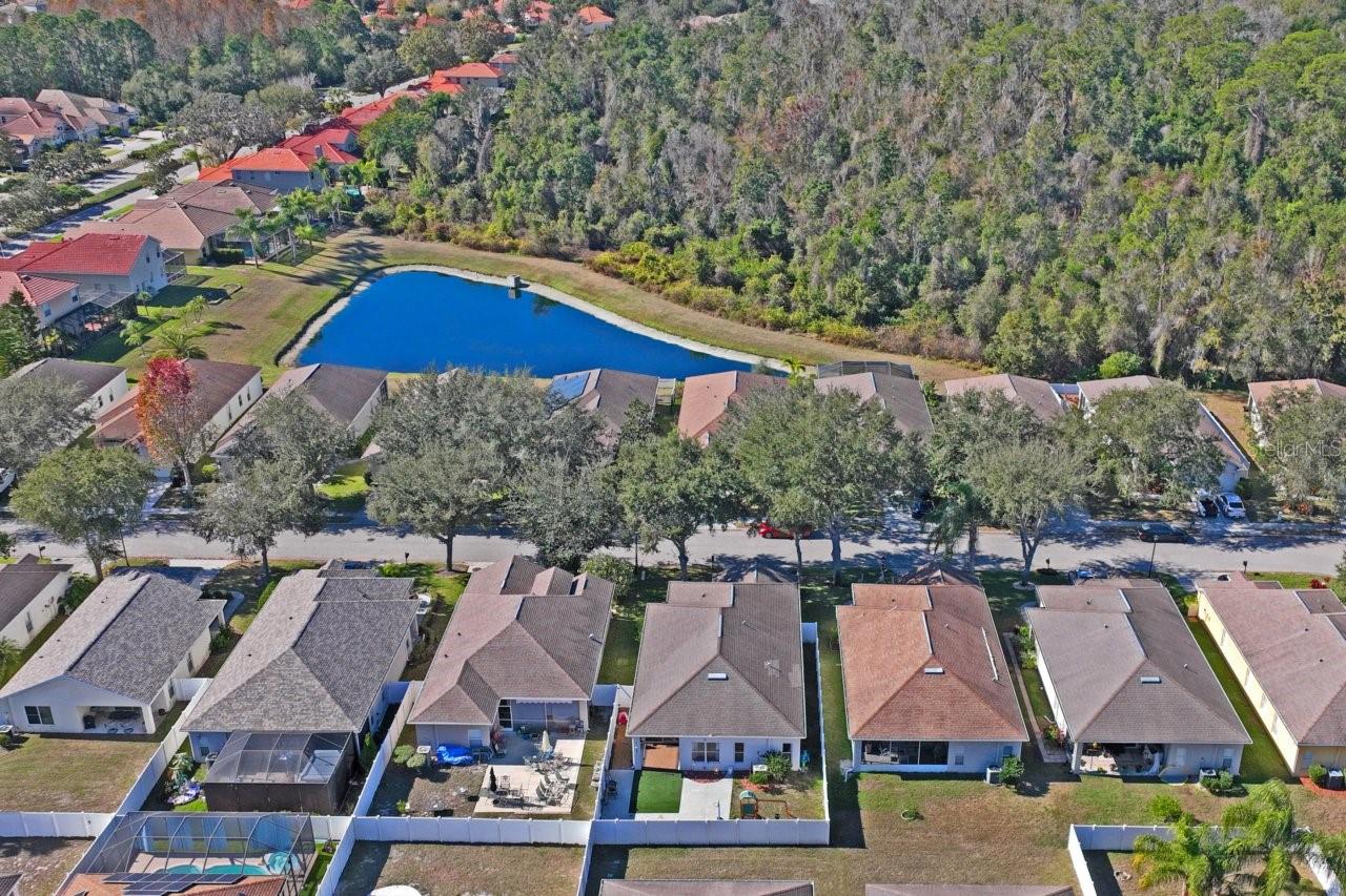 WATERS EDGE 01 - Residential