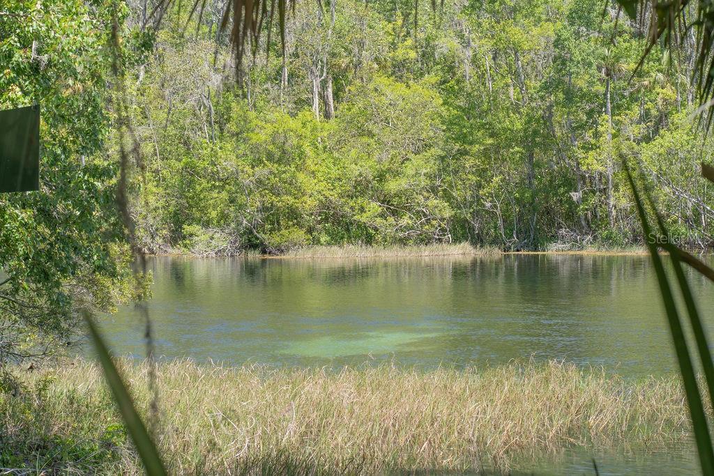 RAINBOW SPRINGS COUNTRY CLUB - Residential