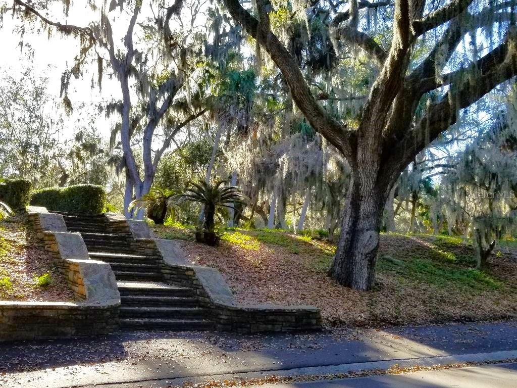 VILLAGE OF SAFETY HARBOR - Residential