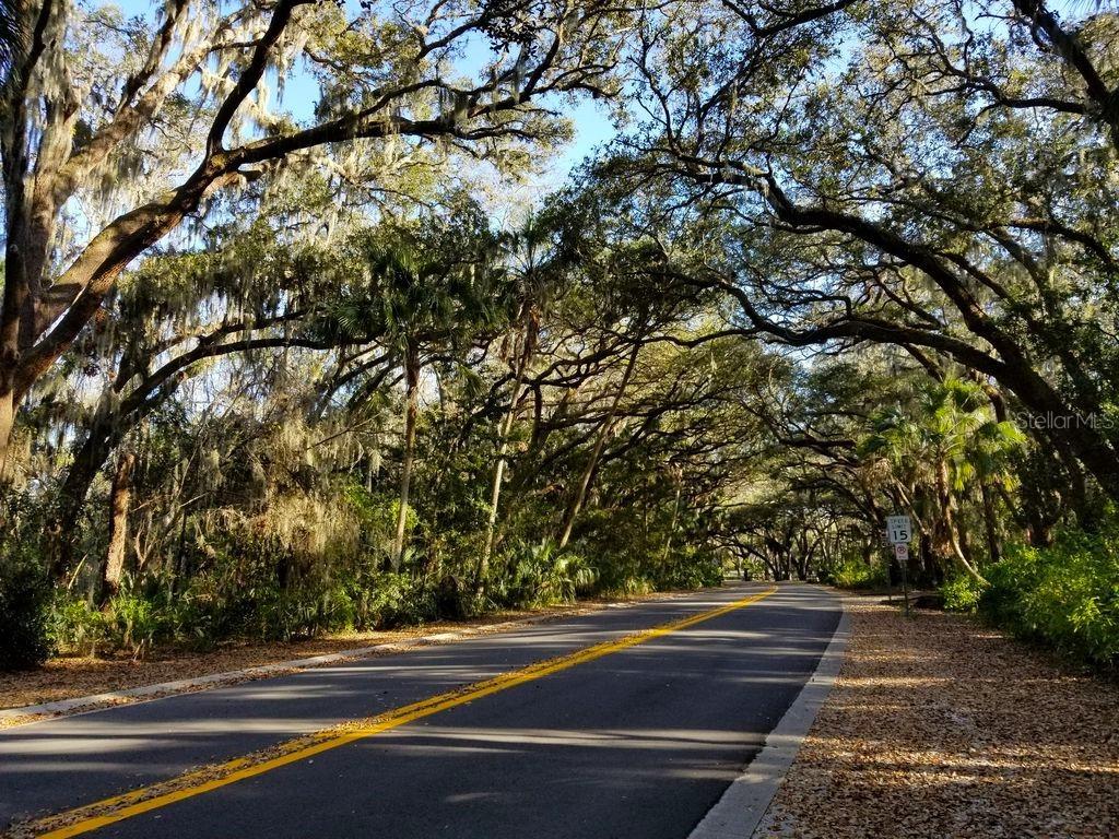 VILLAGE OF SAFETY HARBOR - Residential