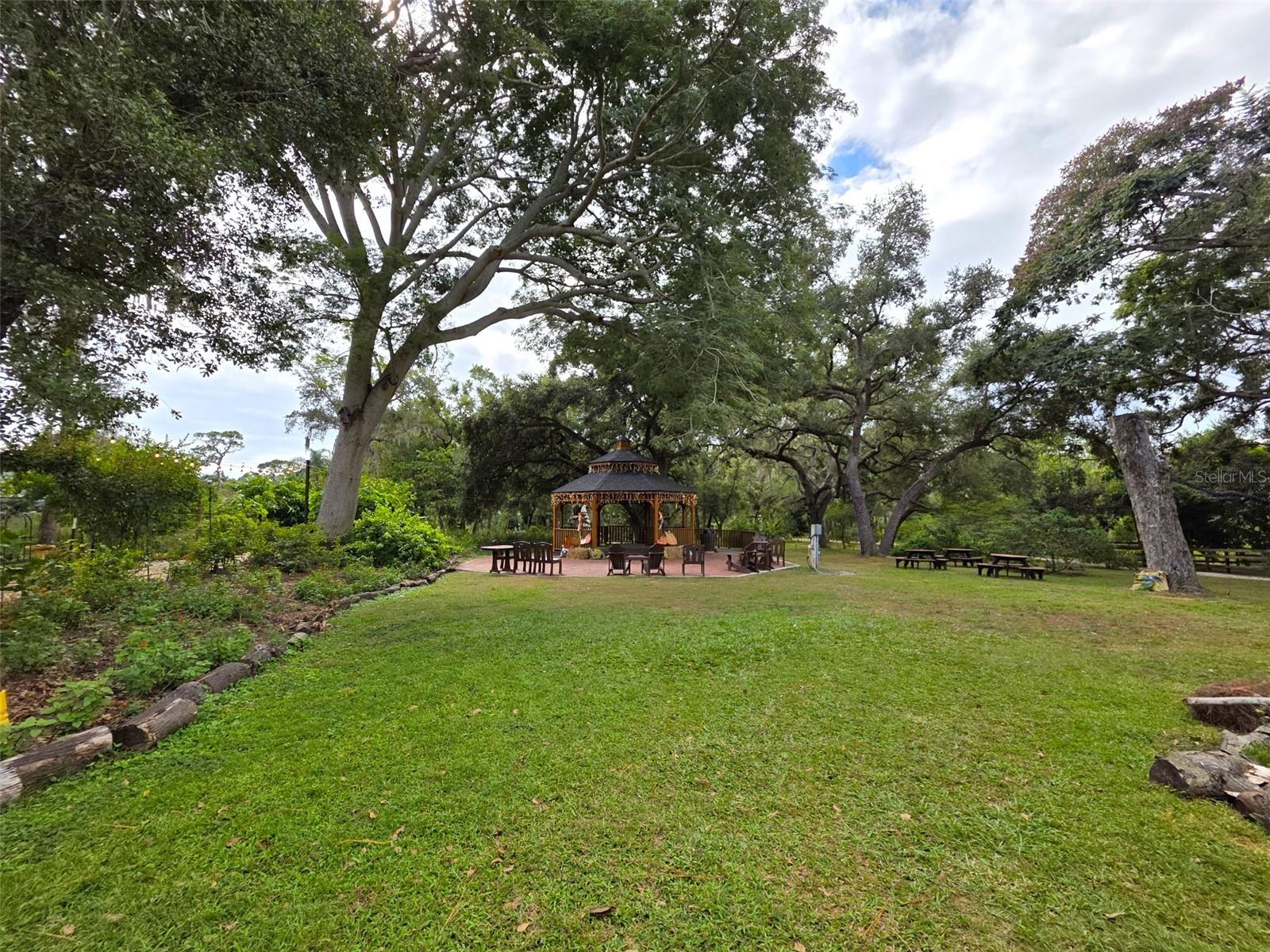 VILLAGE OF SAFETY HARBOR - Residential