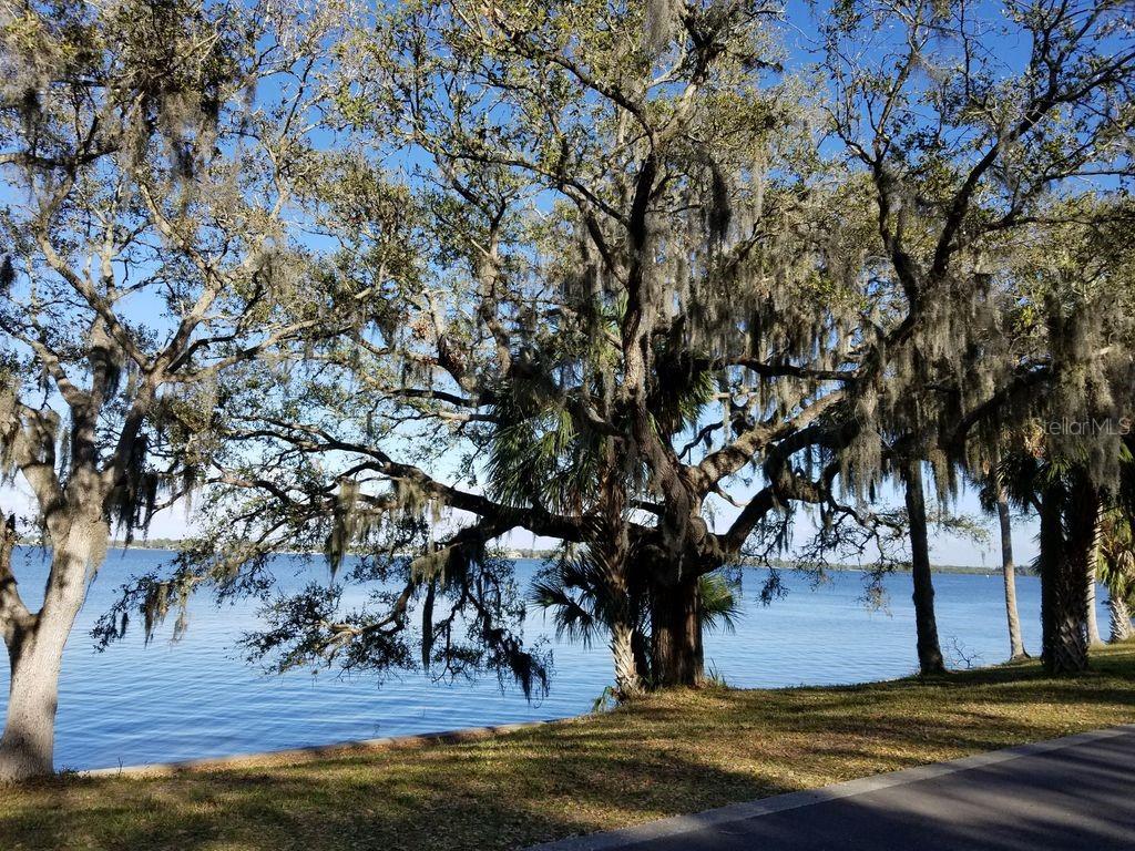 VILLAGE OF SAFETY HARBOR - Residential