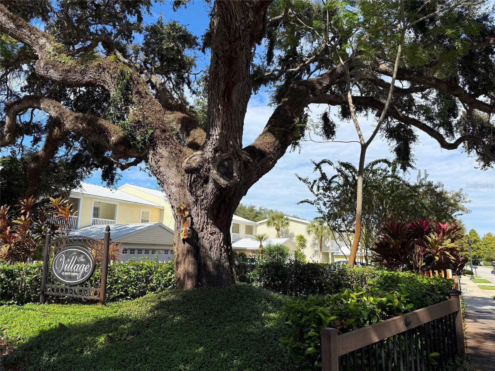 VILLAGE OF SAFETY HARBOR - Residential