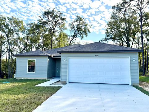 Photo of 6690 E Lowden Street, Inverness, FL 34452 (MLS # O6308352)