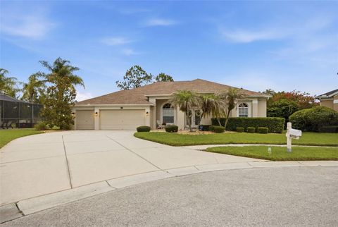 Photo of 25651 Ferdinand Court, Wesley Chapel, FL 33544 (MLS # TB8523142)