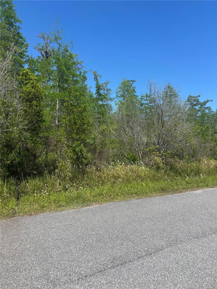 CANAVERAL ACRES 2 - Land