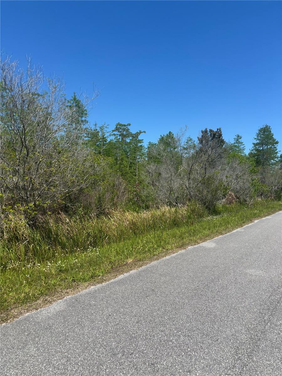 CANAVERAL ACRES 2 - Land